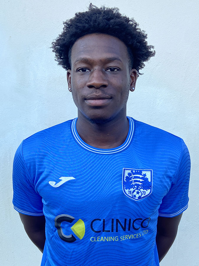 Teni Awolesi